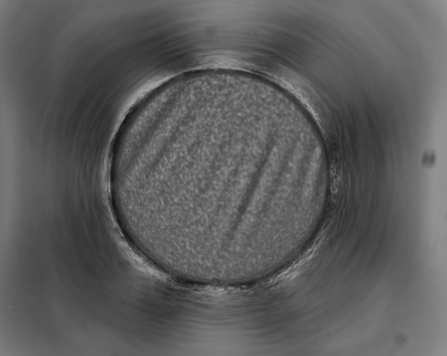 X0000097890987200804041306