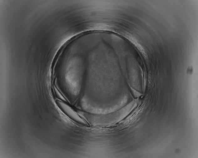 X0000097890988200804041306