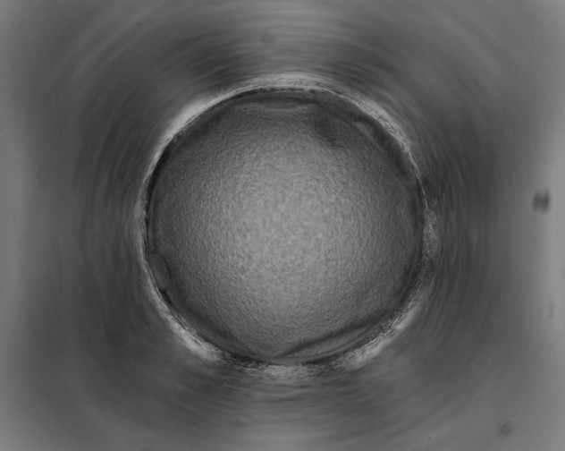 X0000097890989200804041306