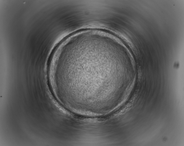 X0000097890990200804041306