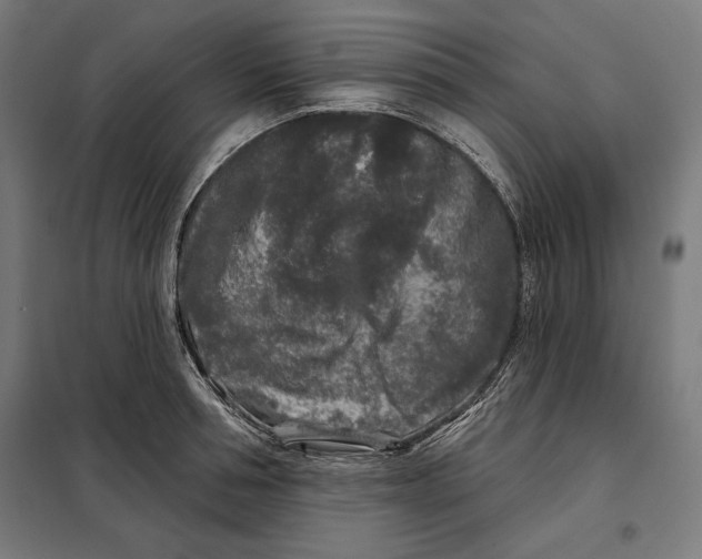 X0000097890994200804041306