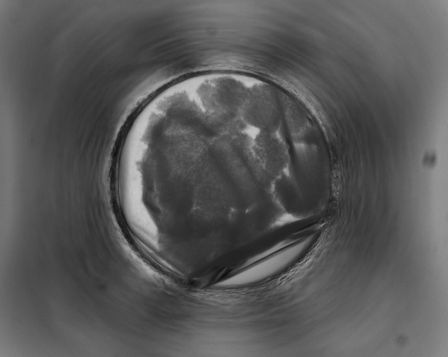 X0000097890995200804041306