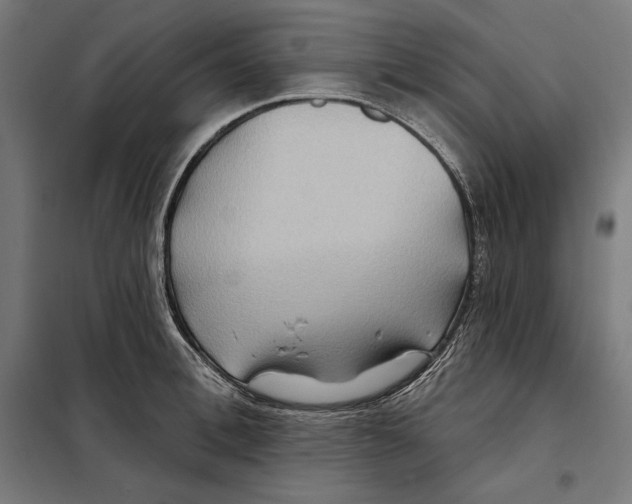 X0000097890996200804041306