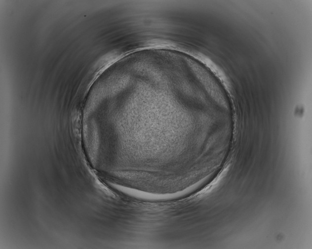 X0000097891001200804041306