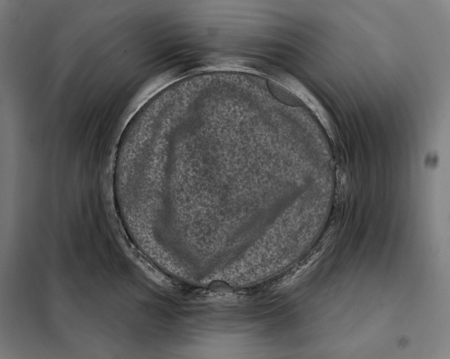 X0000097891002200804041306