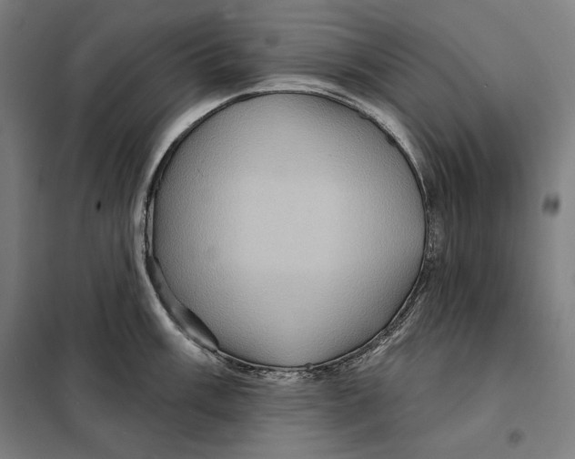 X0000097891003200804041306