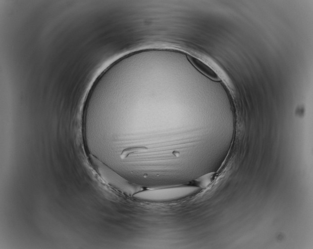 X0000097891004200804041306