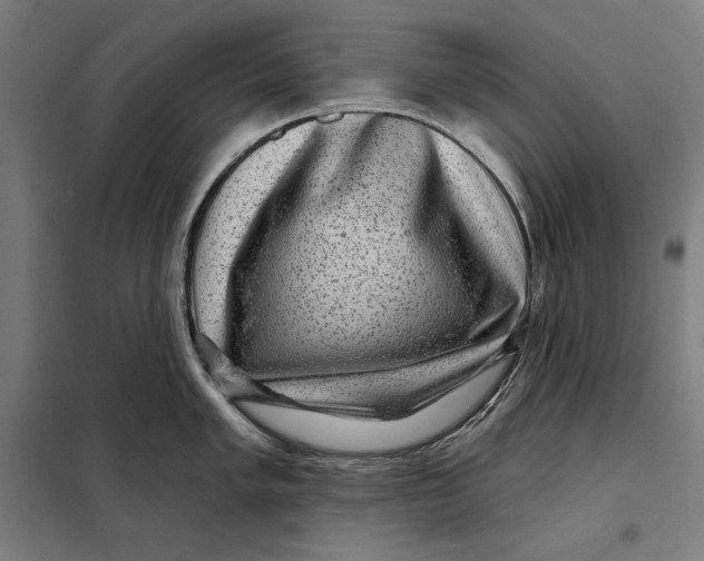 X0000097891005200804041306