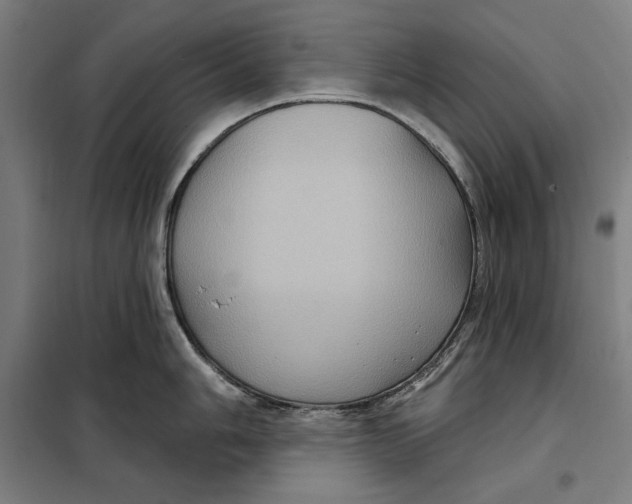 X0000097891006200804041306