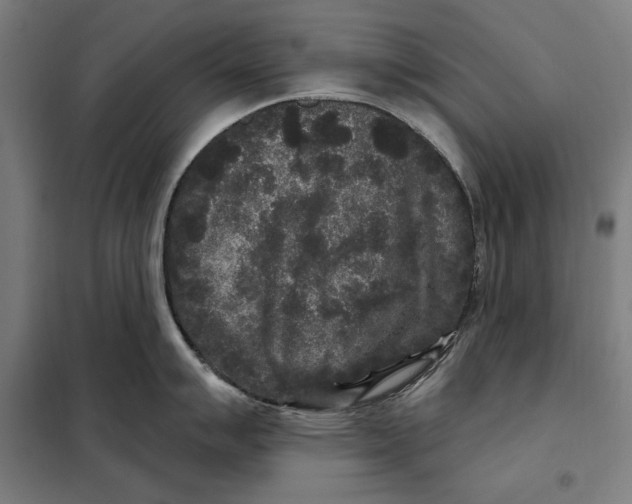 X0000097891007200804041305