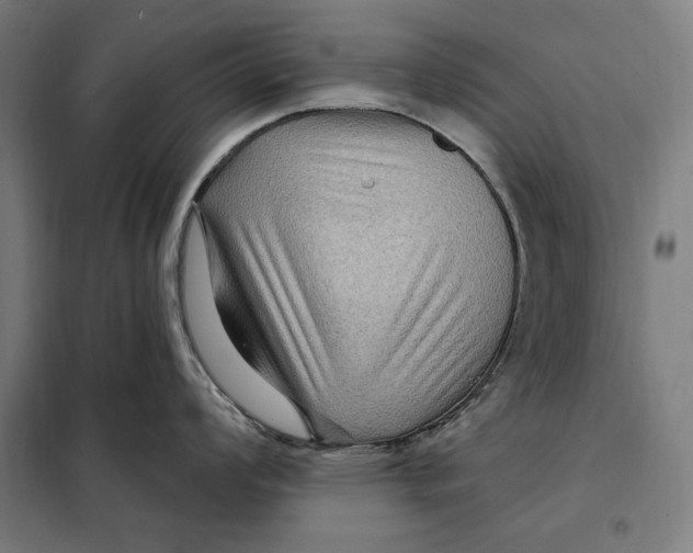 X0000097891008200804041305