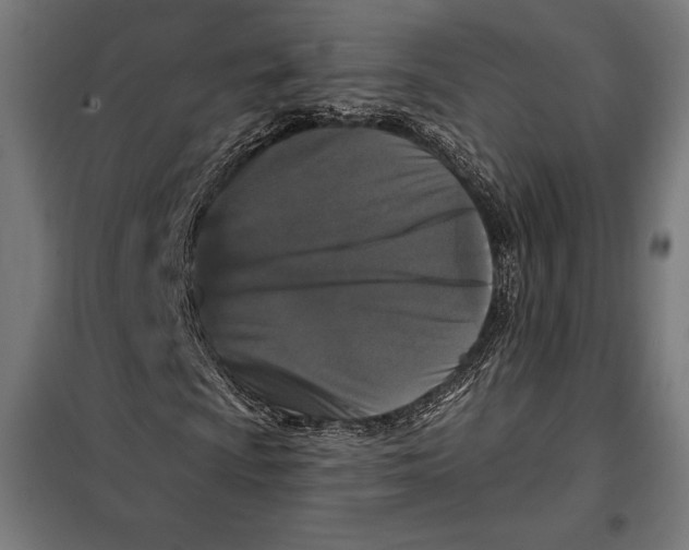 X0000097891009200804041305