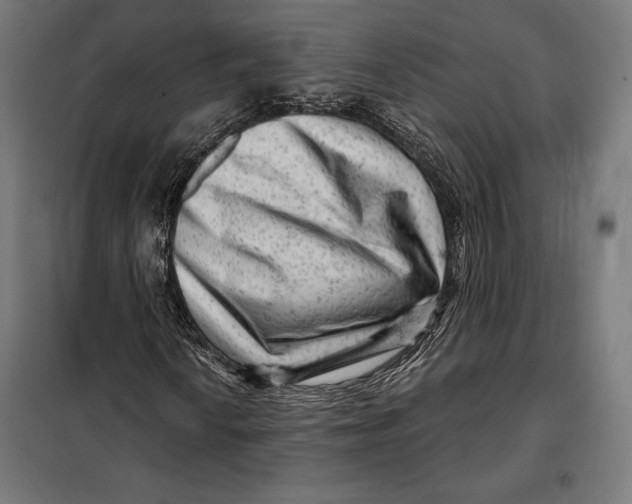 X0000097891010200804041305