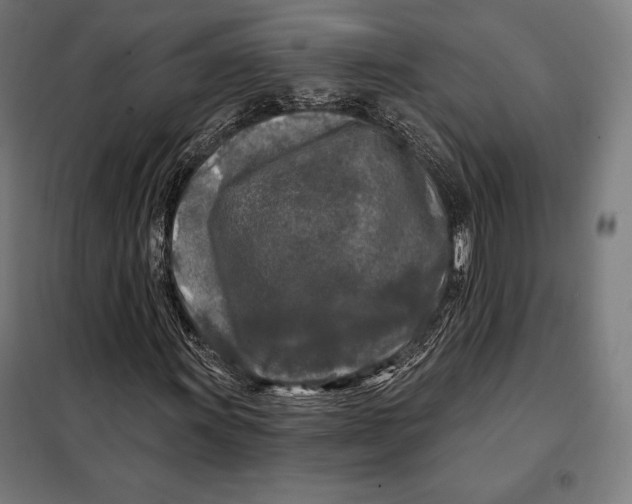 X0000097891011200804041305