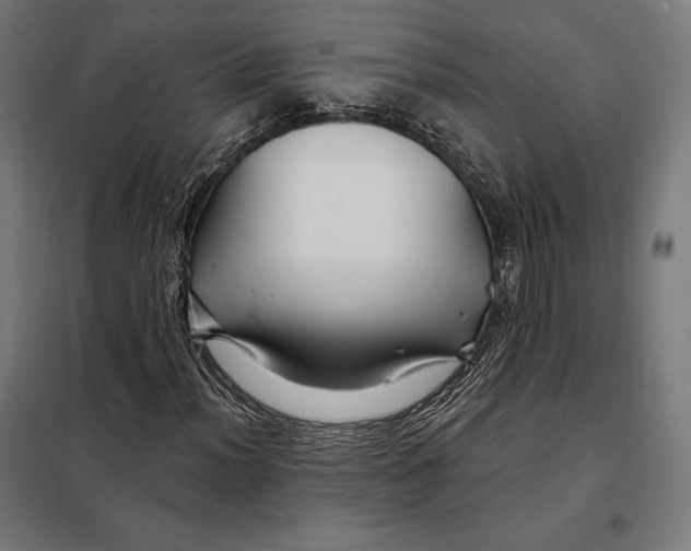 X0000097891012200804041305