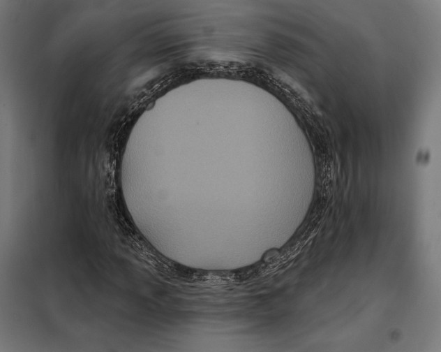 X0000097891013200804041305