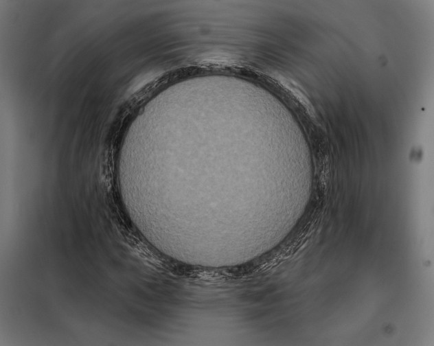 X0000097891015200804041305