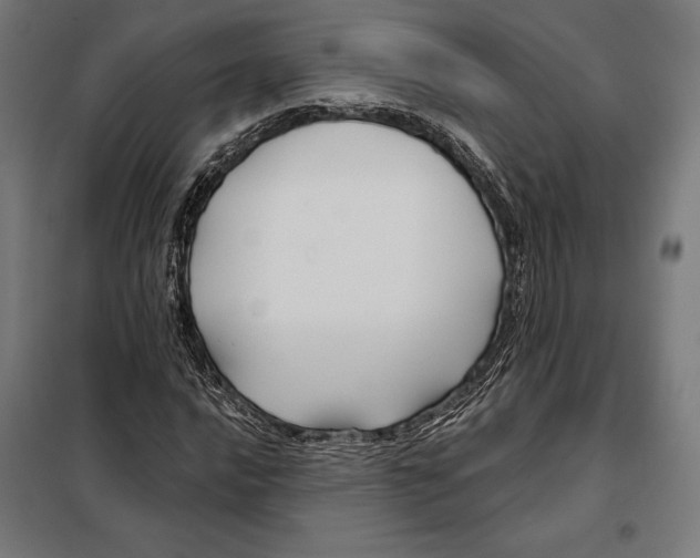 X0000097891016200804041305