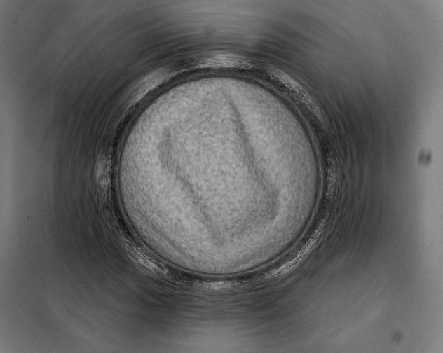 X0000097891017200804041305