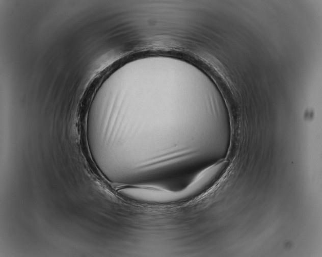 X0000097891018200804041305