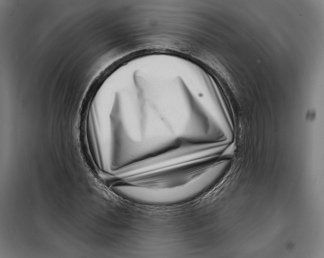 X0000097891020200804041305