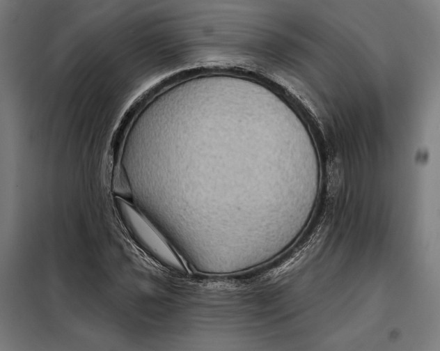 X0000097891021200804041305