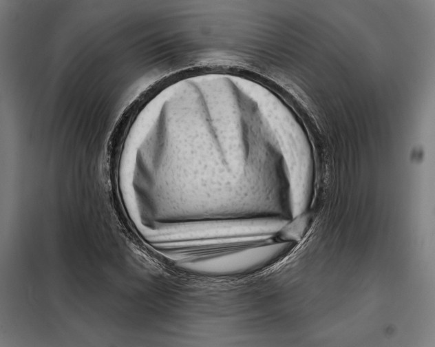 X0000097891022200804041305