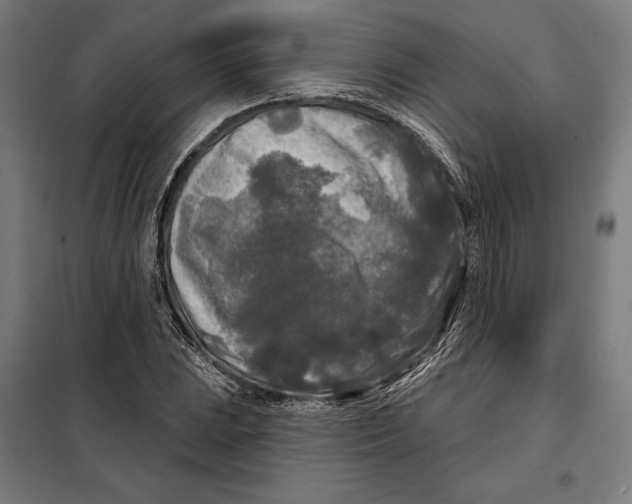 X0000097891023200804041305