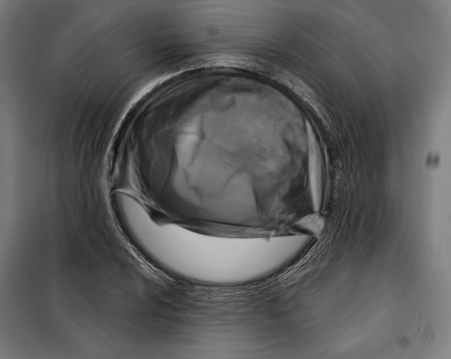 X0000097891024200804041305