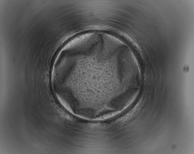 X0000097891025200804041305