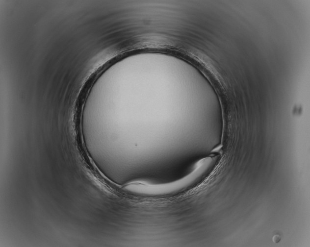 X0000097891026200804041305