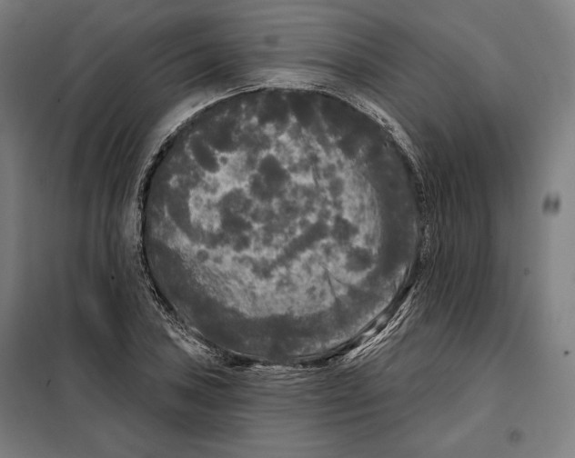 X0000097891027200804041305