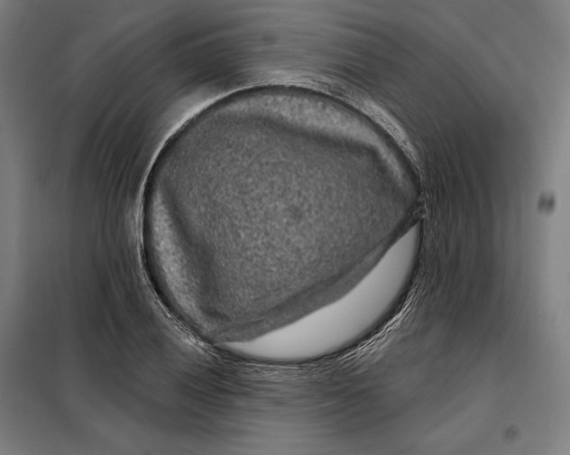 X0000097891028200804041305