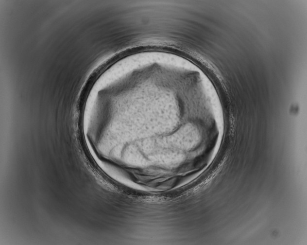 X0000097891029200804041305