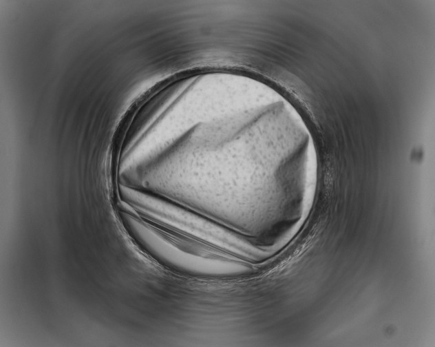 X0000097891030200804041305