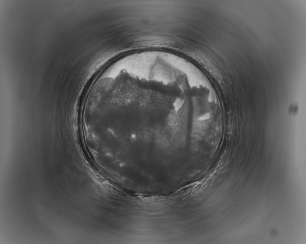 X0000097891031200804041305