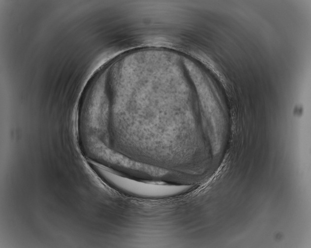 X0000097891032200804041305