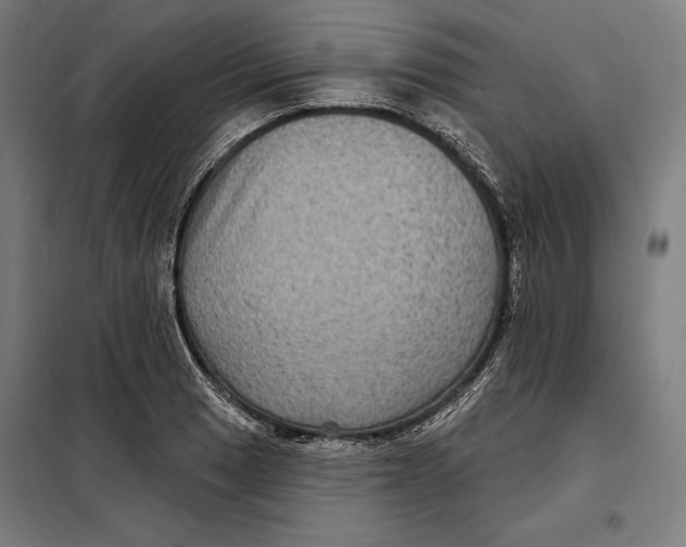 X0000097891033200804041305