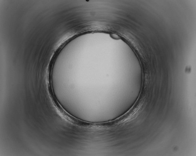 X0000097891034200804041305