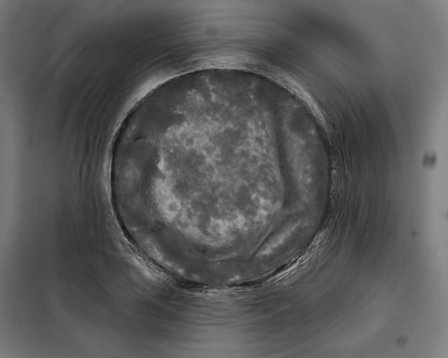 X0000097891035200804041305