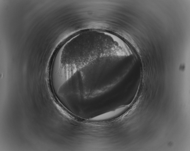 X0000097891037200804041305