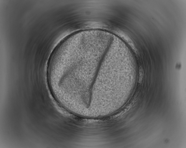 X0000097891039200804041305