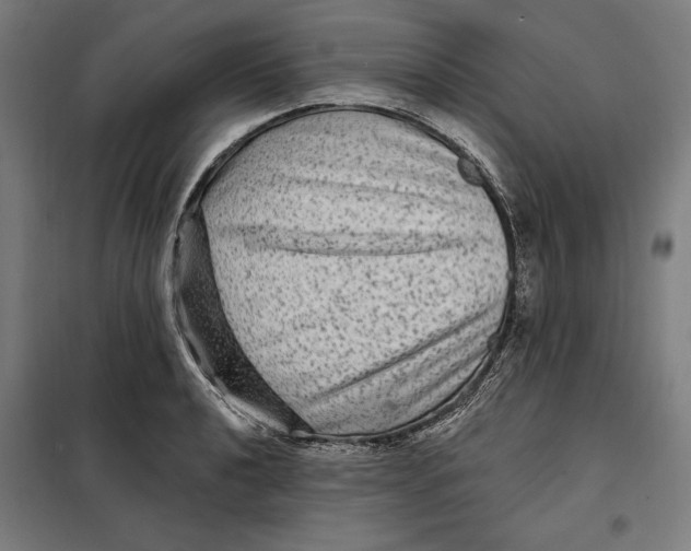 X0000097891040200804041305