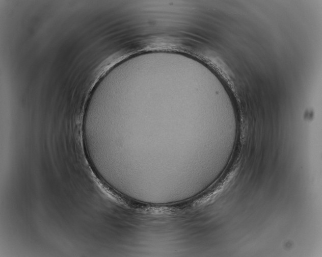 X0000097891041200804041305