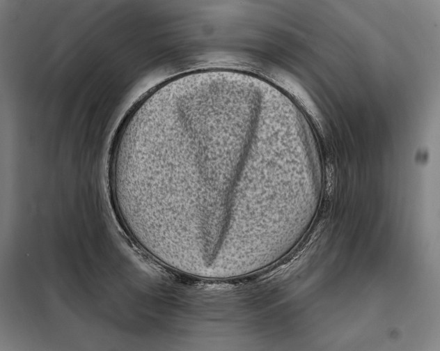 X0000097891043200804041305