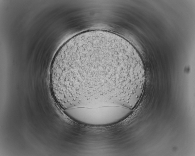 X0000097891044200804041305