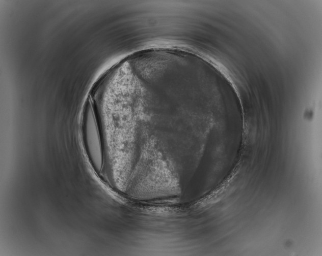 X0000097891045200804041305