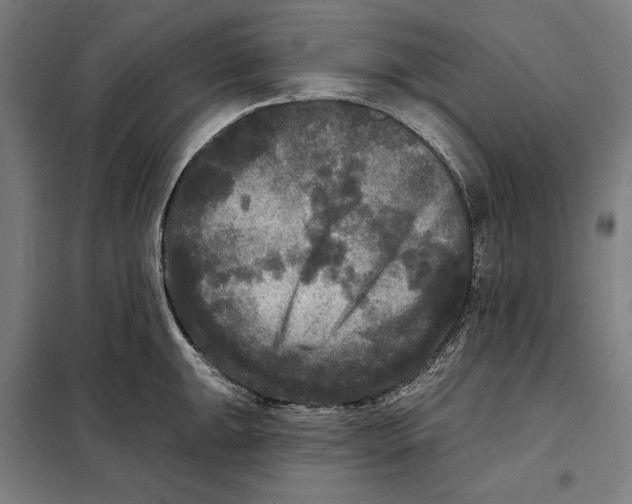 X0000097891047200804041305