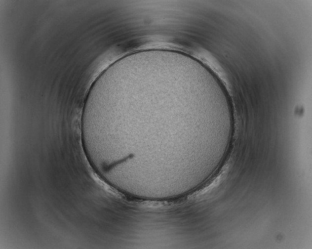 X0000097891049200804041305