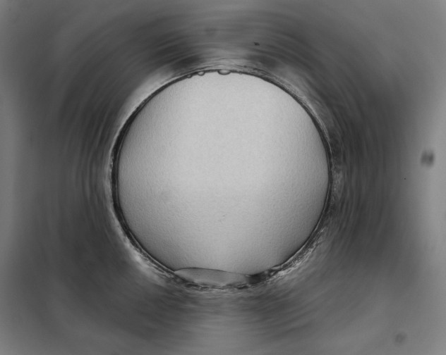 X0000097891050200804041305